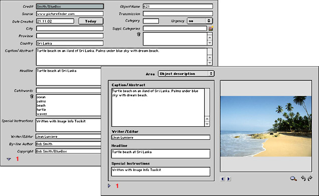 Comparison of Input Masks