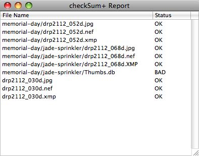 An example Checksum+ report