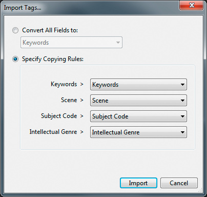 The second Import Tags dialogue, showing the Specify Copying Rules option selected